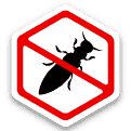 Beetles icon
