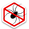 Spiders icon
